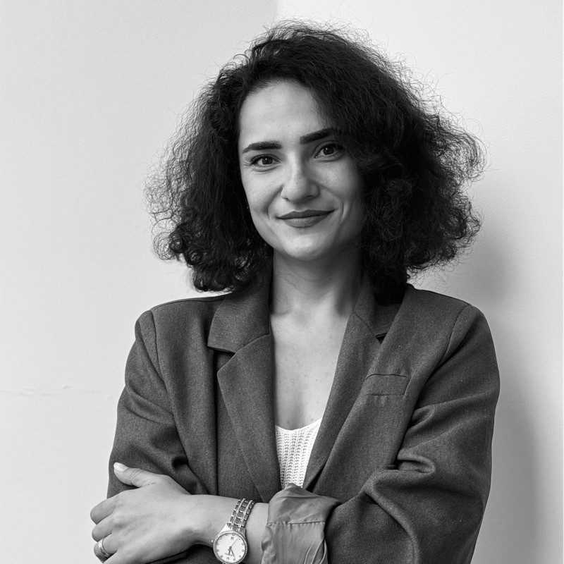 Mane Mirzakhanyan